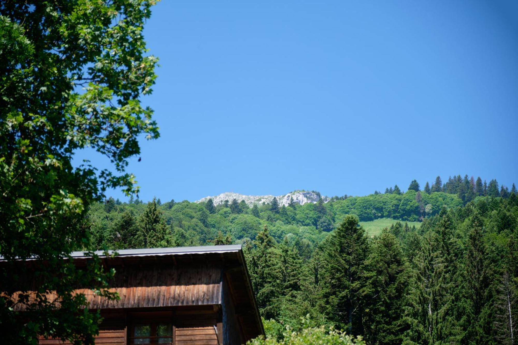 Chalet Le Lys Martagon Saint-Pierre-d'Entremont  Esterno foto